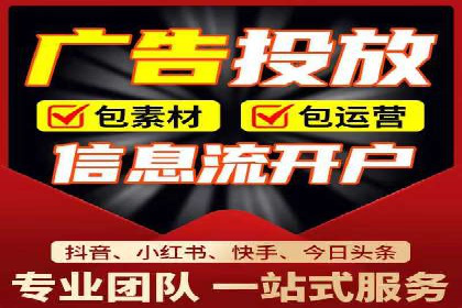 竞价广告在XX行业的成功应用案例
